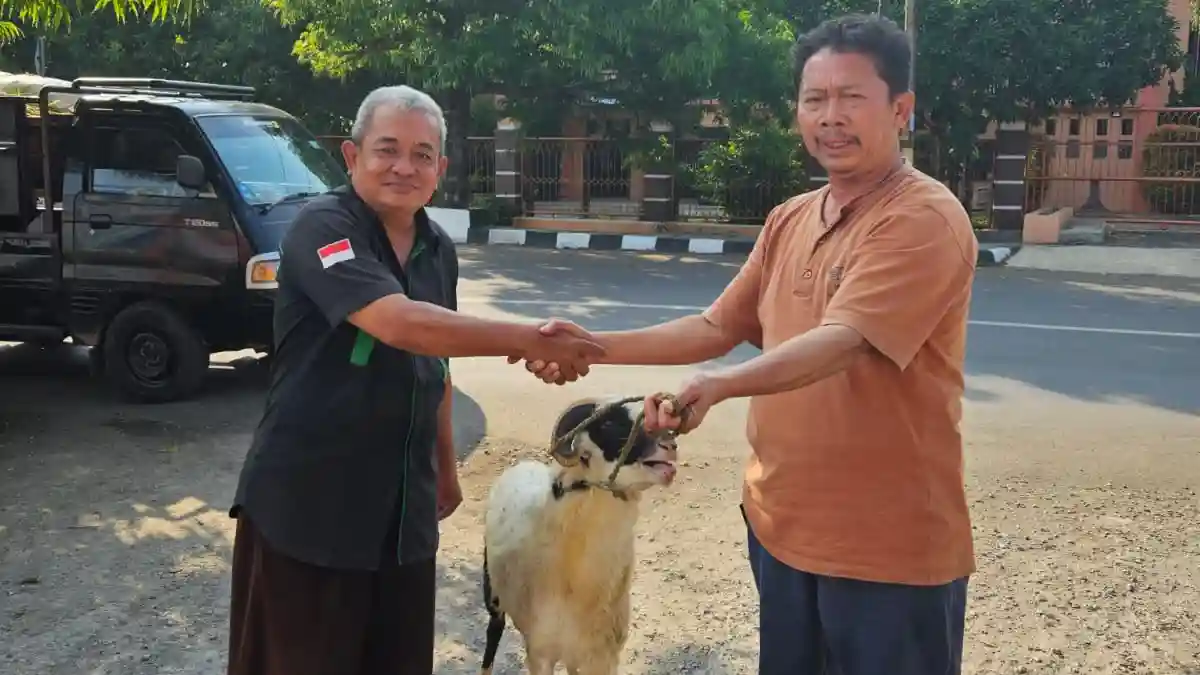 pertamina salurkan hewan qurban ke sekber fwi