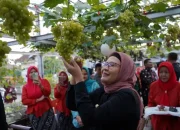 Momentum Dirgahayu RI Ke-79, Bupati Nina Sampaikan Capaian Pembangunan Indramayu