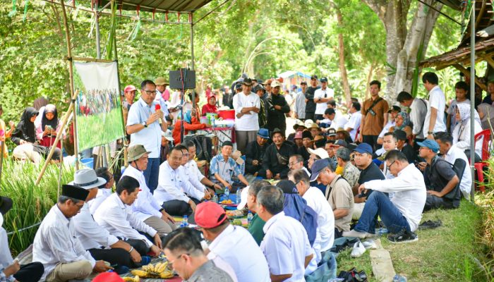 Pertanian Organik di Indramayu Berhasil Tingkatkan Produksi! Apa Rahasianya? Selengkapnya di Sini!