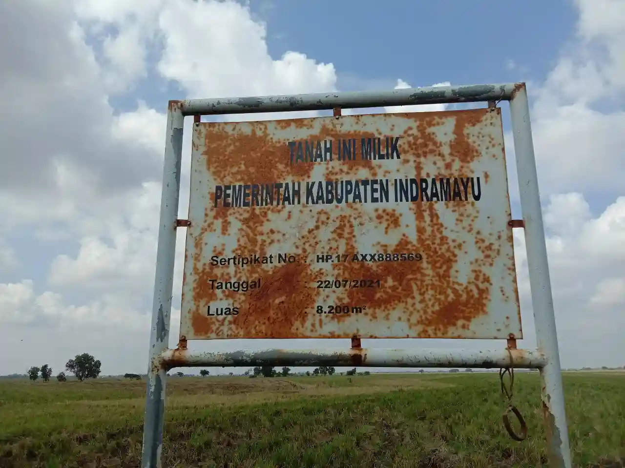 lelang sewa eks tanah bengkok indramayu