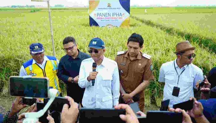 Menteri PU dan Bupati Indramayu Panen Perdana