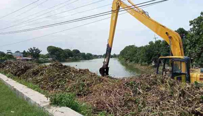 Rimbunan Eceng Gondok Telah Musnah dari Sungai Tjimanoek di Bojongsari