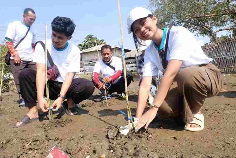 Momen Hari Mangrove Sedunia, Pertamina Patra Niaga Balongan Perkuat Program Lingkungan